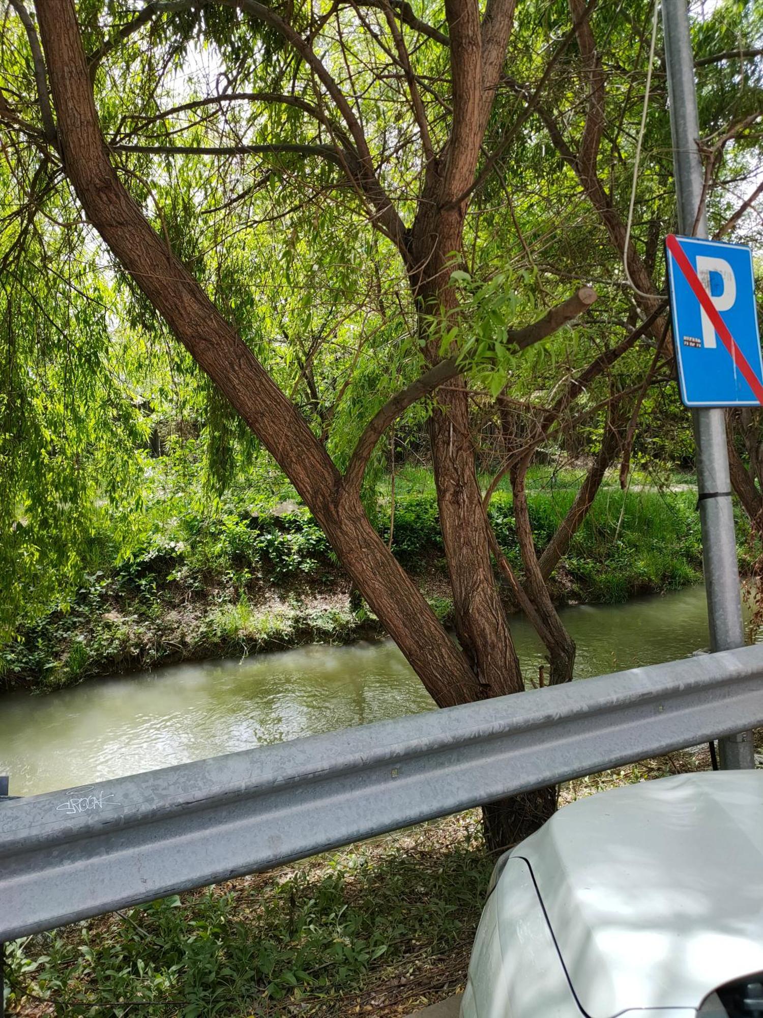 Cozy Apartment Bucharest Rosu Экстерьер фото